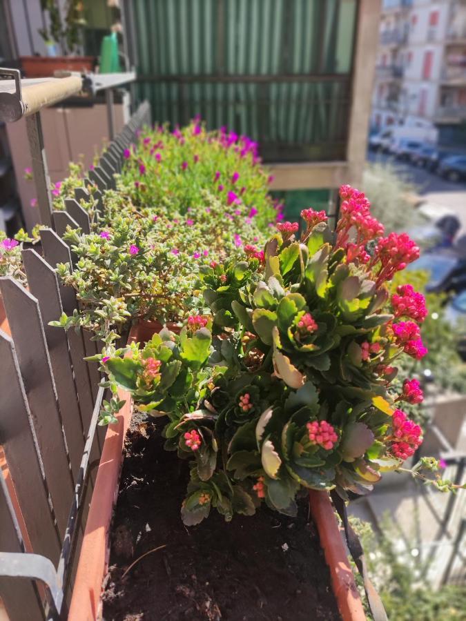 La Casa Dei Nonni Daire Roma Dış mekan fotoğraf